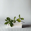 AdaWall Omega Gri Çizgili Desenli Duvar Kağıdı AdaWall Omega Gri Çizgili Desenli Duvar Kağıdı mekân uygulama görünümü