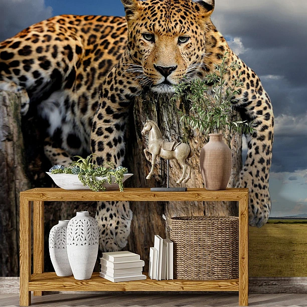 Leopar Duvar Kağıdı