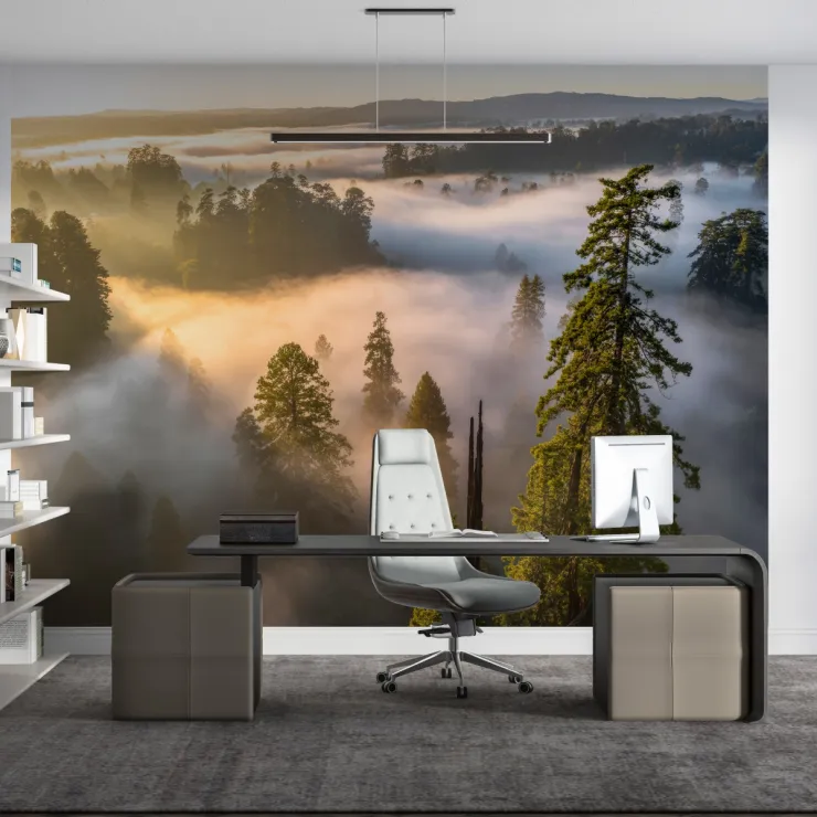 Sisli Orman Manzaralı 3D Duvar Kağıdı Sisli Orman Manzaralı 3D Duvar Kağıdı