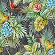 tropicano-9905-4