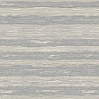 vera-1506-5