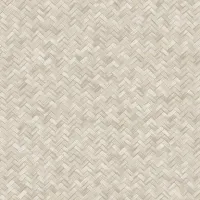 vera-1511-3