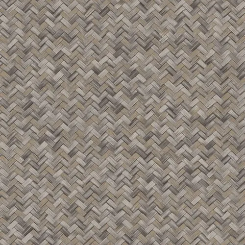 vera-1511-5