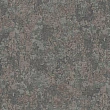 vera-1513-5